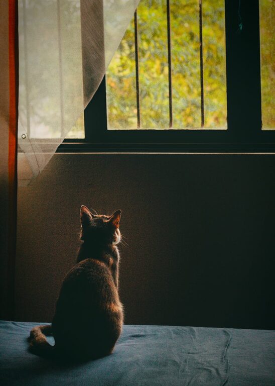 How to Plan a No-Stress Weekend for Maximum Relaxation